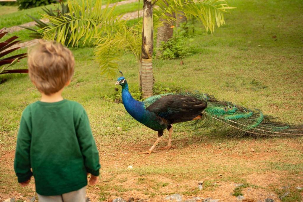 Pousada Campestre Vila ทีราเดนเจส ภายนอก รูปภาพ